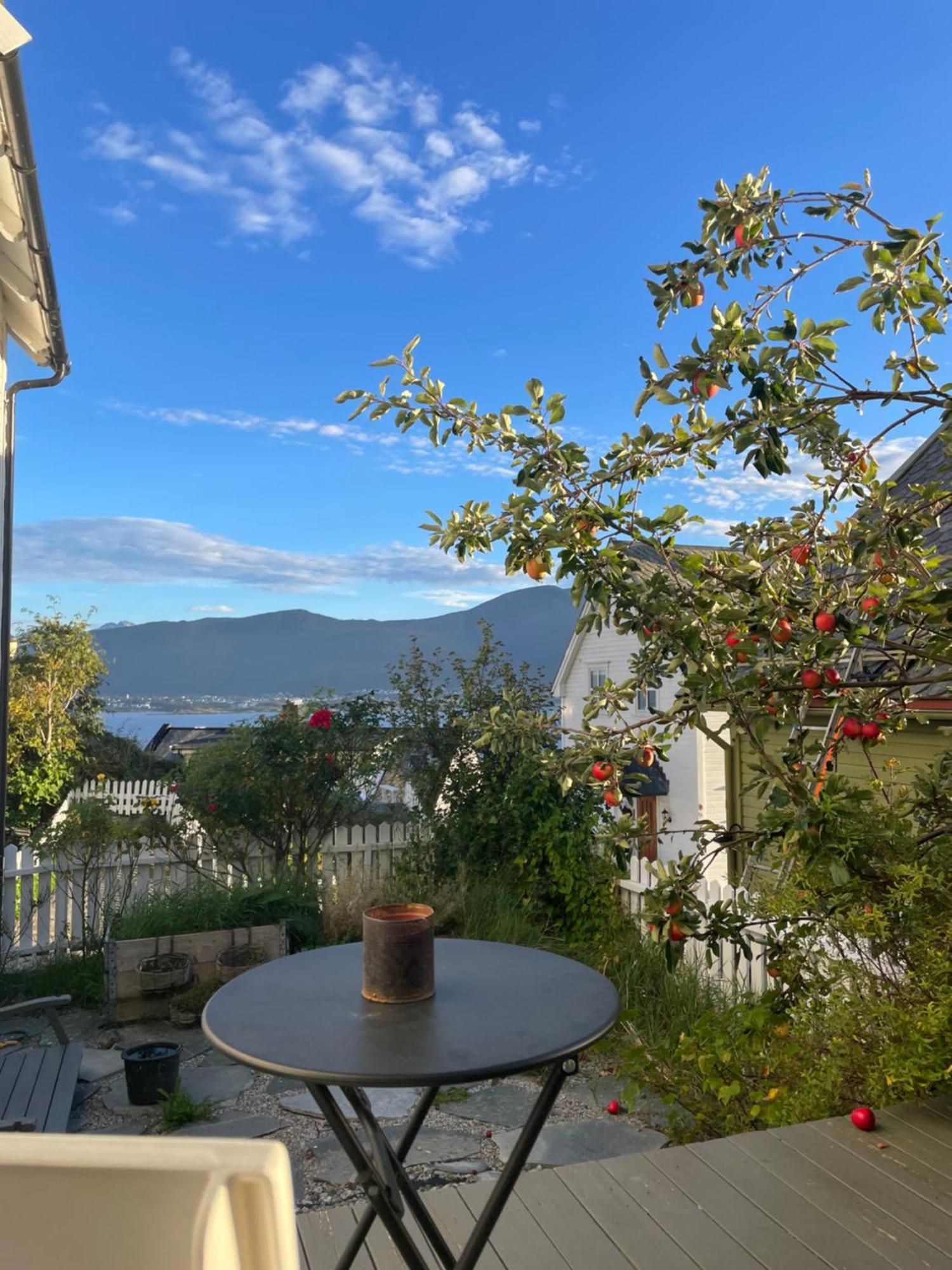 Koselig Leilighet I Sentrum Ålesund Buitenkant foto