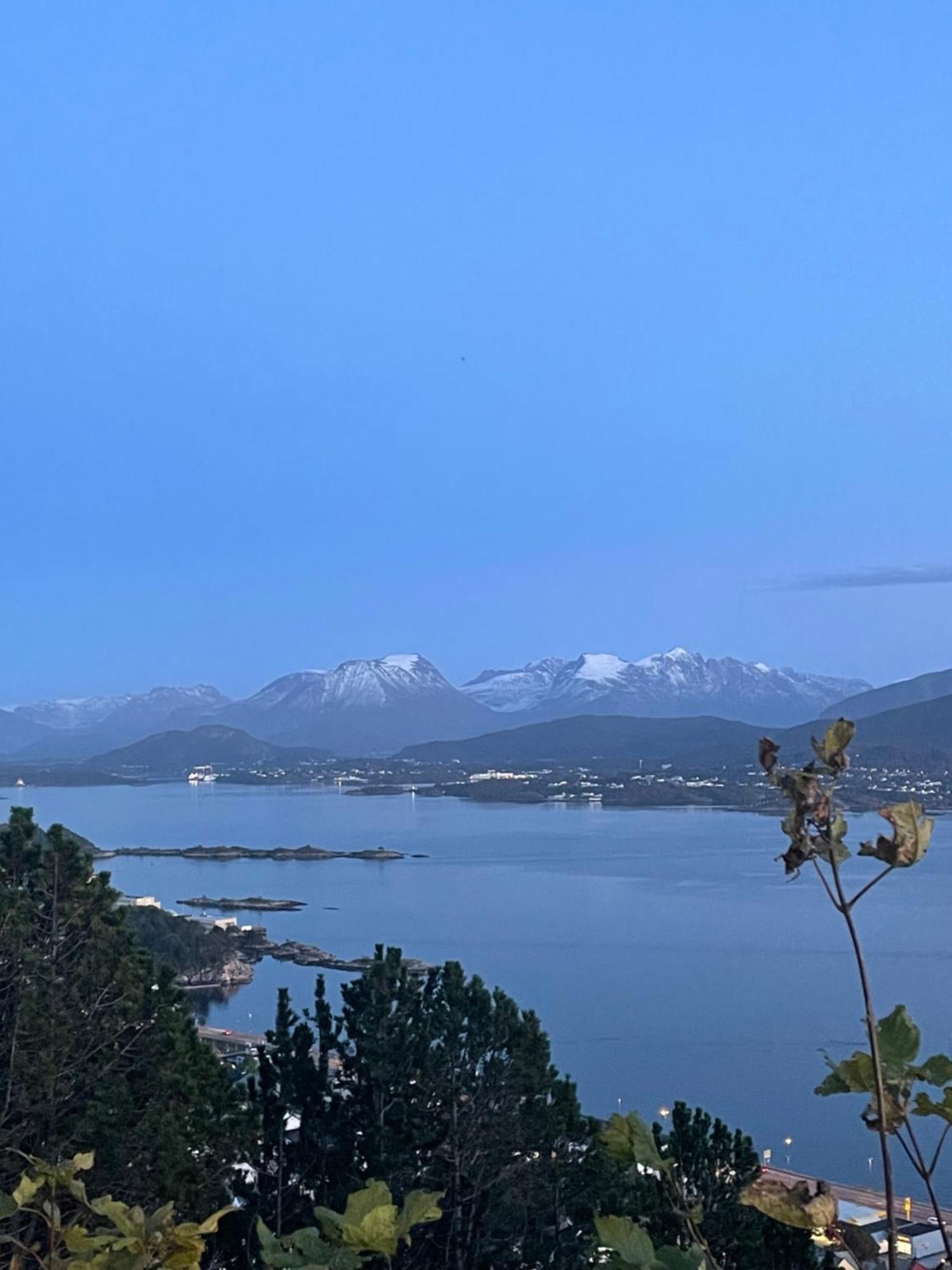 Koselig Leilighet I Sentrum Ålesund Buitenkant foto